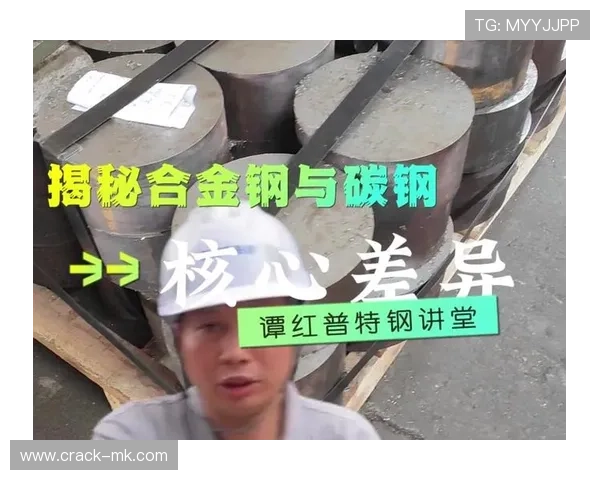 奥德加德技术细节深度解析:揭秘其背后的核心创新与应用前景 奥德加德技术细节深度解析:揭秘其背后的核心创新与应用前景